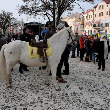 WOŚP Rzeszów 2013  - fot 29