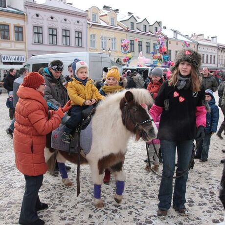 WOŚP Rzeszów 2013  - fot 28