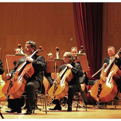 Koncert symfoniczny "Maski" - fot 14