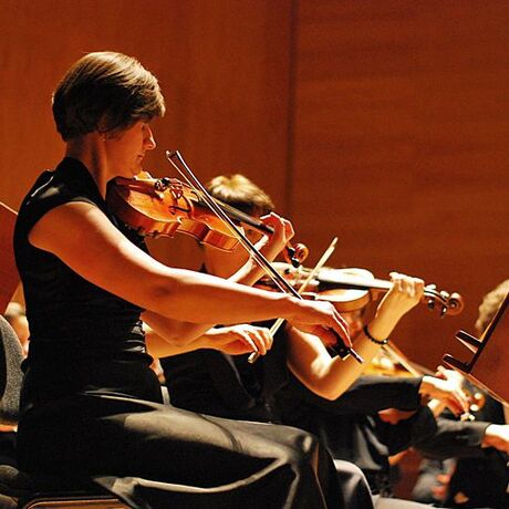 Koncert symfoniczny "Z wyżyn Parnasu" - fot 28