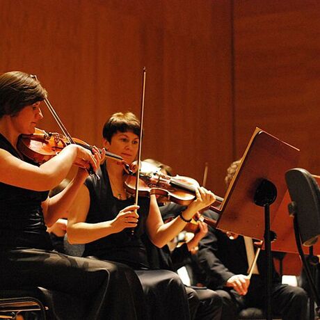 Koncert symfoniczny "Z wyżyn Parnasu" - fot 11