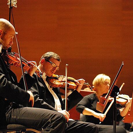 Koncert symfoniczny "Z wyżyn Parnasu" - fot 10