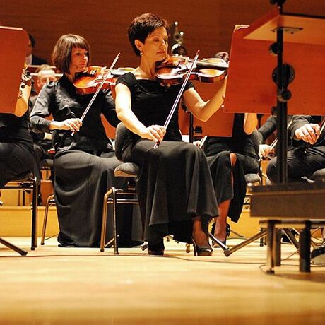 Koncert symfoniczny "Z wyżyn Parnasu" - fot 9