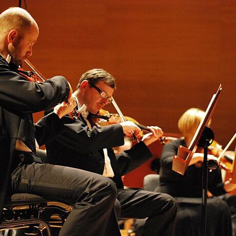 Koncert symfoniczny "Z wyżyn Parnasu" - fot 8