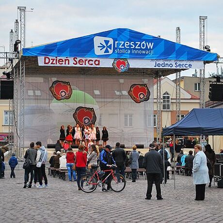 Światowy Dzień Serca w Rzeszowie - 29.09.2013 - fot 3