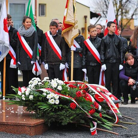 Święto Niepodległości w Rzeszowie - fot 52