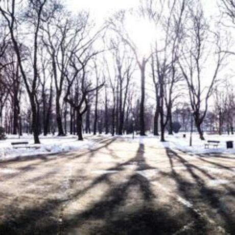 Park przy ul. Dąbrowskiego - Rzeszów 2014 - fot 9