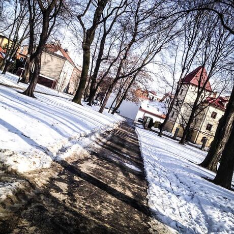Park przy ul. Dąbrowskiego - Rzeszów 2014 - fot 5