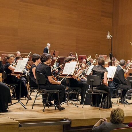 Koncert symfoniczny w Filharmonii Podkarpackiej - 14.02.2014 - fot 2