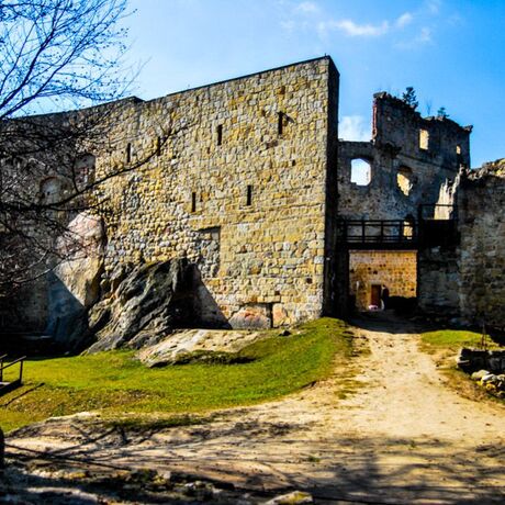 Prządki, Zamek w Odrzykoniu - fot 9