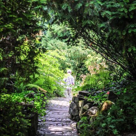 Podkarpacie: Arboretum w Bolestraszycach - fot 13