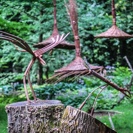 Podkarpacie: Arboretum w Bolestraszycach - fot 6
