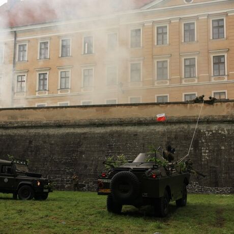 100. Rocznica Utworzenia Legionów Polskich - fot 13