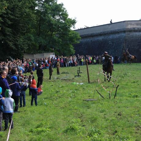 100. Rocznica Utworzenia Legionów Polskich - fot 4