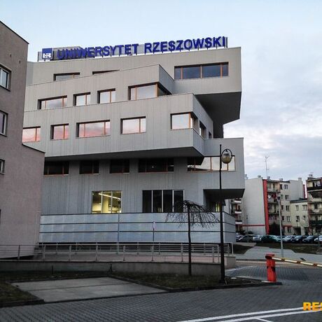 Budowa drogi dojazdowej do UR przy ul. Warzywnej - fot 5