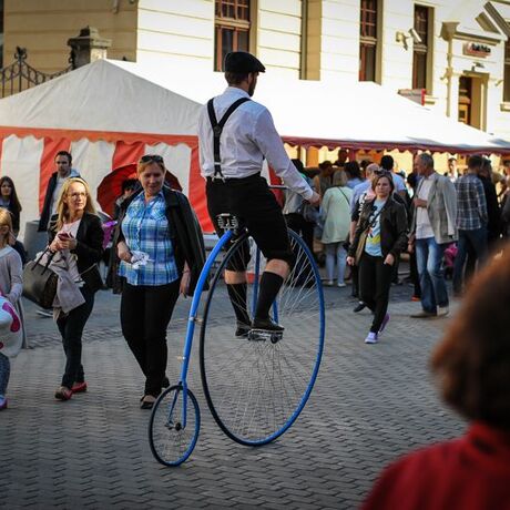 Święto Paniagi 2015 - fot 50