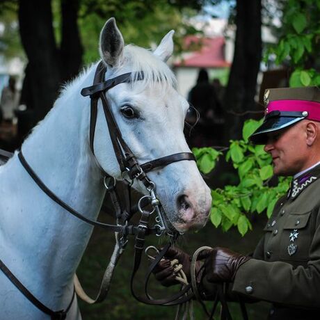 Święto Paniagi 2015 - fot 70