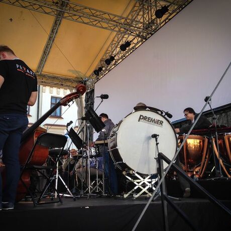 Święto Paniagi 2015 - fot 19