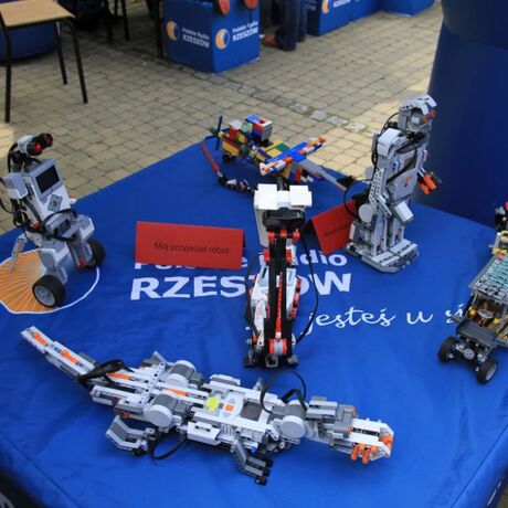 Święto Paniagi 2015 rok - fot 67