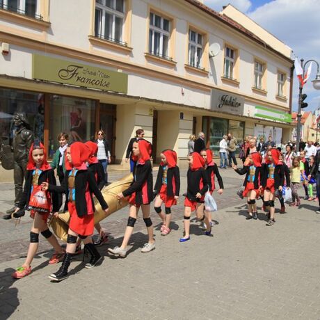 Święto Paniagi 2015 rok - fot 29