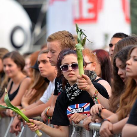 Czad Festiwal - Straszęcin - 29.08.2015 - fot 32