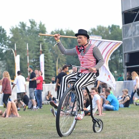 Czad Festiwal - Straszęcin - 29.08.2015 - fot 16