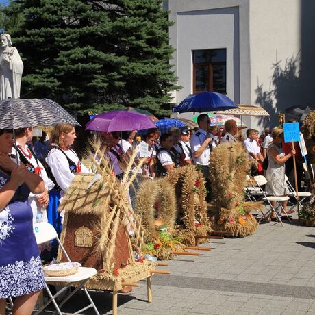 Dożynki diecezjalne w katedrze rzeszowskiej  - fot 54