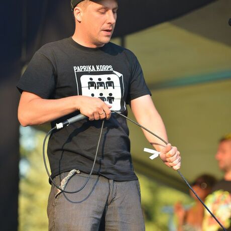 Czad Festiwal - Straszęcin - 30.08.2015  - fot 18