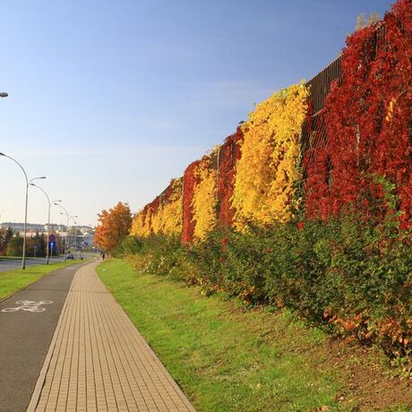 Jesień w Rzeszowie  - fot 1