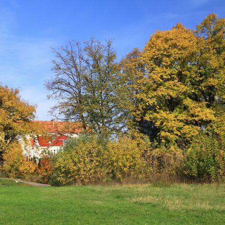 Jesień w Rzeszowie  - fot 21
