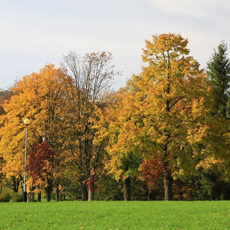 Jesień w Rzeszowie  - fot 17