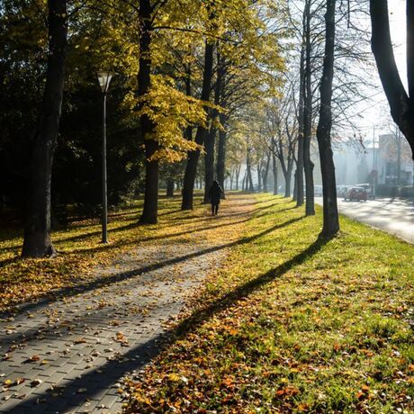 Barwy Jesieni. Spacer po Rzeszowie - fot 1