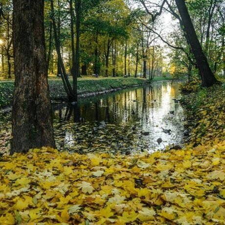 Barwy Jesieni. Spacer po Rzeszowie - fot 22