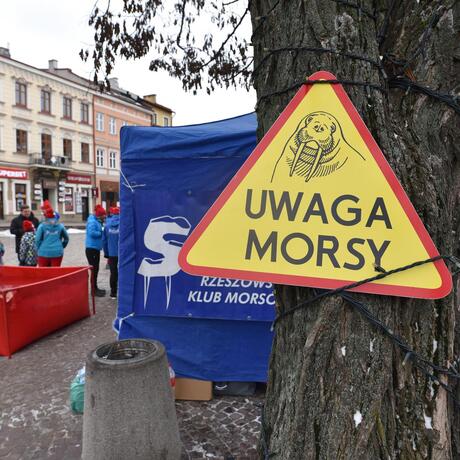 31. Finał WOŚP w Rzeszowie - fot 6