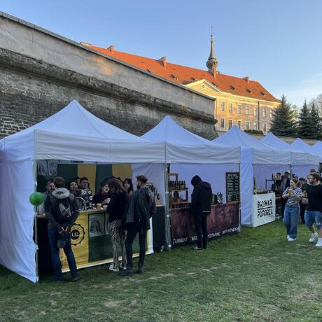 Karpacki Jarmark Rękodzieła i Produktów Regionalnych - fot 6