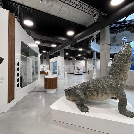 Podkarpackie Centrum Nauki "Łukasiewicz" - fot 28
