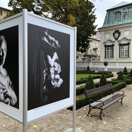 "Spotkania" - fotografie Tadeusza Poźniaka w ogrodzie Letniego Pałacu Lubomirskich - fot 10