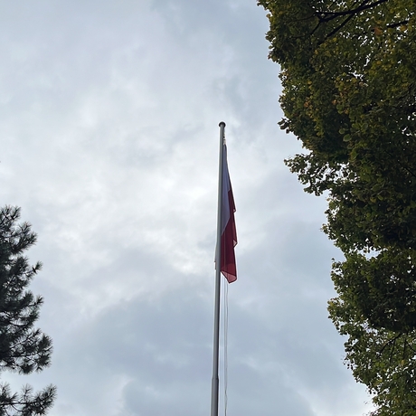 Święto Niepodległości w Rzeszowie - fot 8