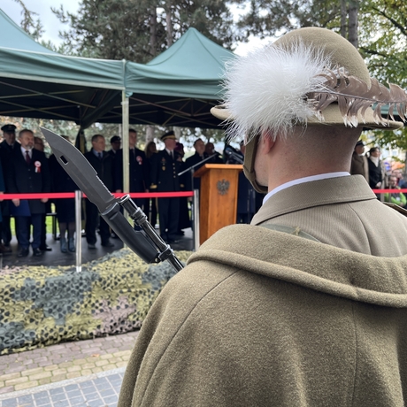 Święto Niepodległości w Rzeszowie - fot 6