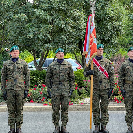 Rzeszów - Defilada wojskowa w centrum Rzeszowa [ZDJĘCIA] - fot 44