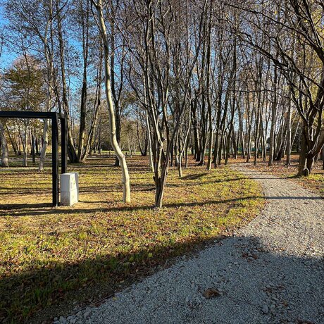Rzeszów - Nowy ogród kieszonkowy w rejonie ul. Tarnowskiej [listopad 2024] - fot 2