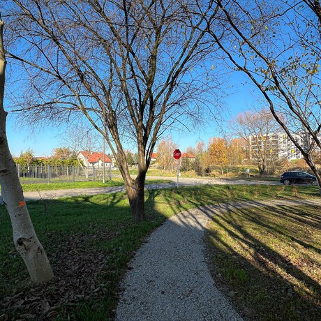 Rzeszów - Nowy ogród kieszonkowy w rejonie ul. Tarnowskiej [listopad 2024] - fot 25