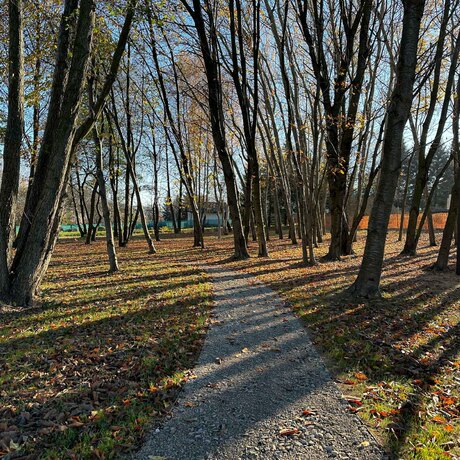 Rzeszów - Nowy ogród kieszonkowy w rejonie ul. Tarnowskiej [listopad 2024] - fot 6