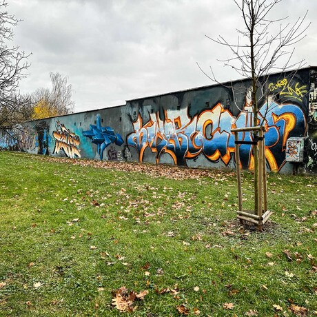 Rzeszów - Graffiti na garażach w Parku Zdrowia na osiedlu Kmity - fot 14
