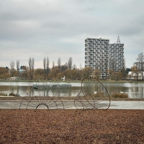 Rzeszów - Budowa miejskiej plaży nad Wisłokiem [grudzień 2024] - fot 5