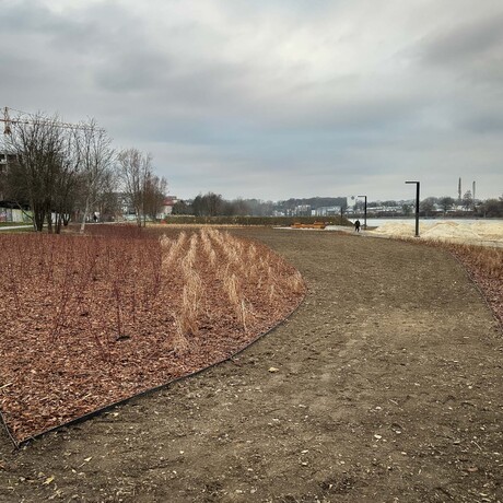 Rzeszów - Budowa miejskiej plaży nad Wisłokiem [grudzień 2024] - fot 18