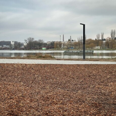 Rzeszów - Budowa miejskiej plaży nad Wisłokiem [grudzień 2024] - fot 4