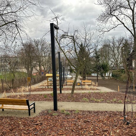 Rzeszów - Ogród kieszonkowy na osiedlu Pobitno [grudzień 2024] - fot 40