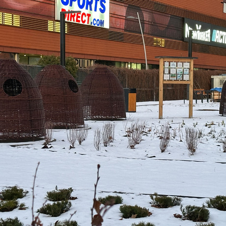 Rzeszów - Budowa ogrodu kieszonkowego na osiedlu Nowe Miasto [styczeń 2025] - fot 14