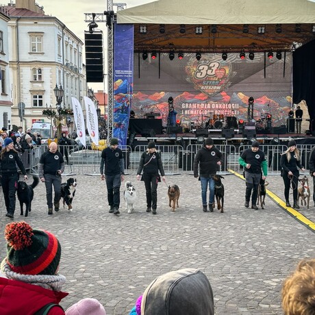 Rzeszów - 33. Finał WOŚP w Rzeszowie - fot 50